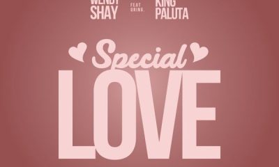 Wendy Shay – Special Love ft King Paluta