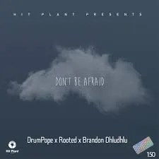 DrumPope, Rooted & Brandon Dhludhlu – Don't Be Afraid