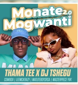 Thama Tee & DJ Tshegu ft Cowboii, LeeMcKrazy, Matuteboyrsa & Master Piece YVK – Monate mogwanti 2.0