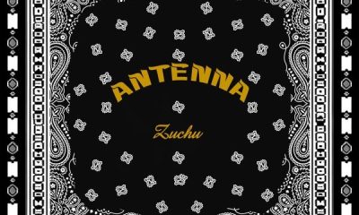 Zuchu – Antenna